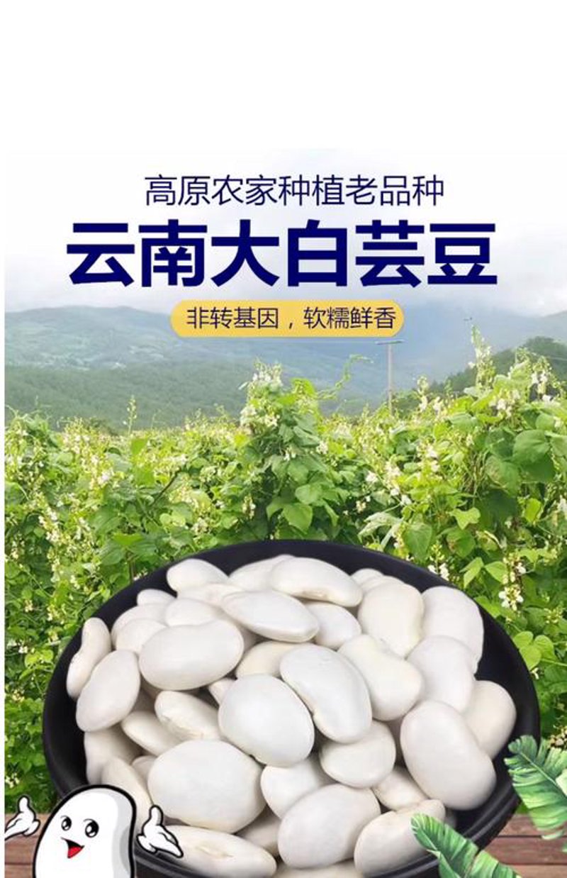 探寻粮油批发的新途径：以郴州为例
