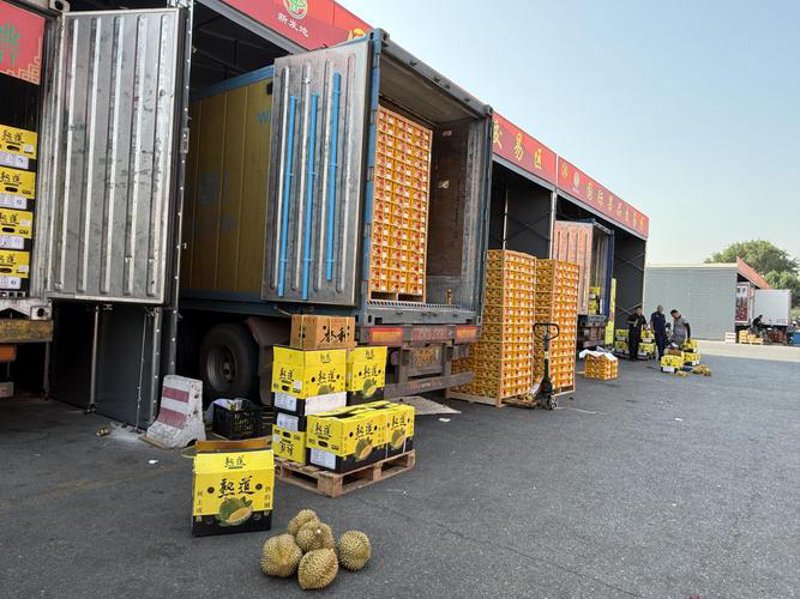 探寻优质大米批发的最佳路径：案例解析